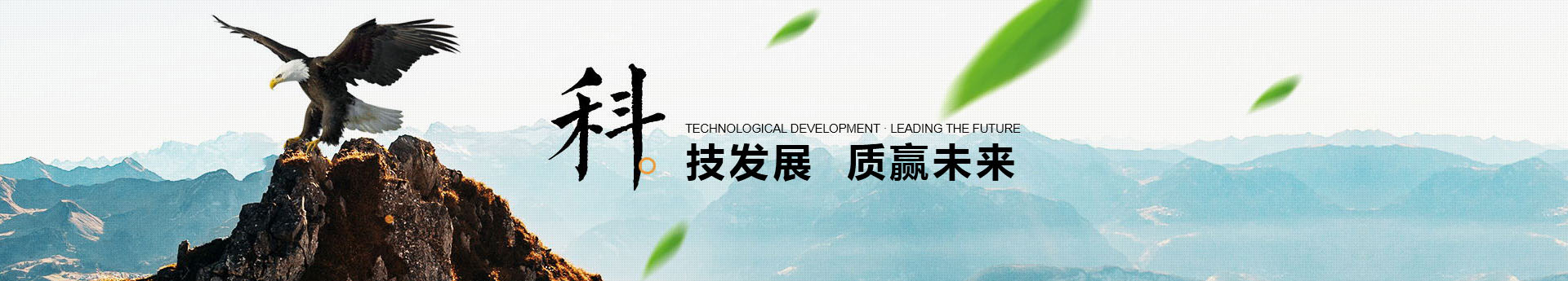 高壓壓球機(jī)